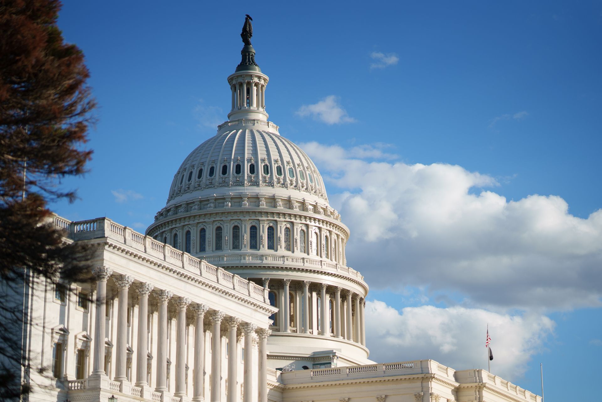 The US Capitol building.
