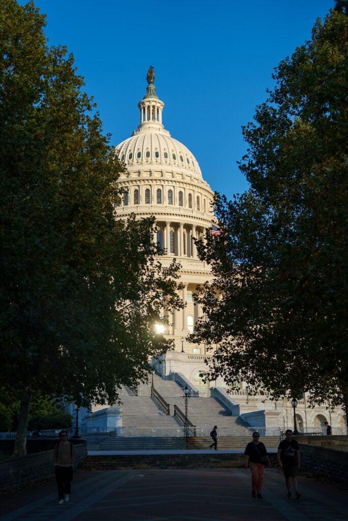 The US Capitol building through the trees.